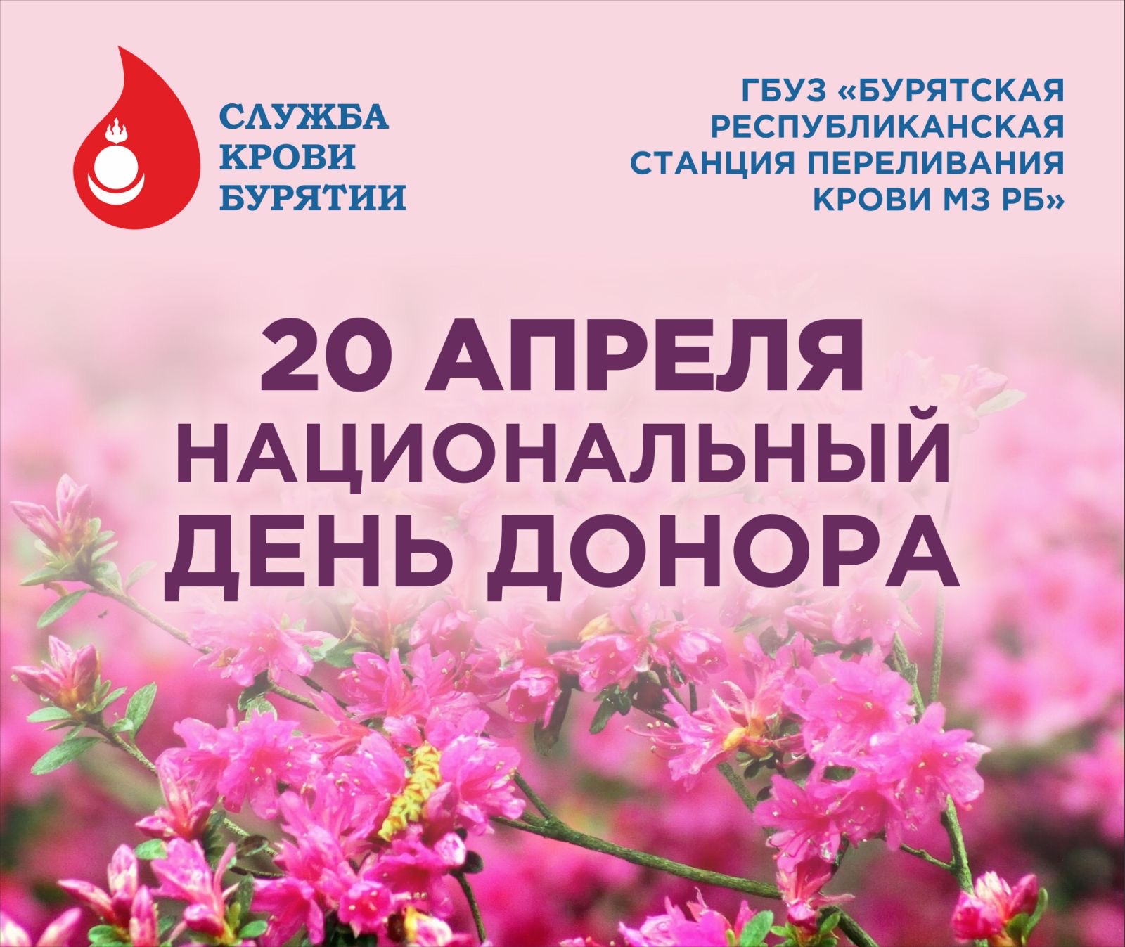 В Улан-Удэ прошли мероприятия, приуроченные к Национальному дню донора!