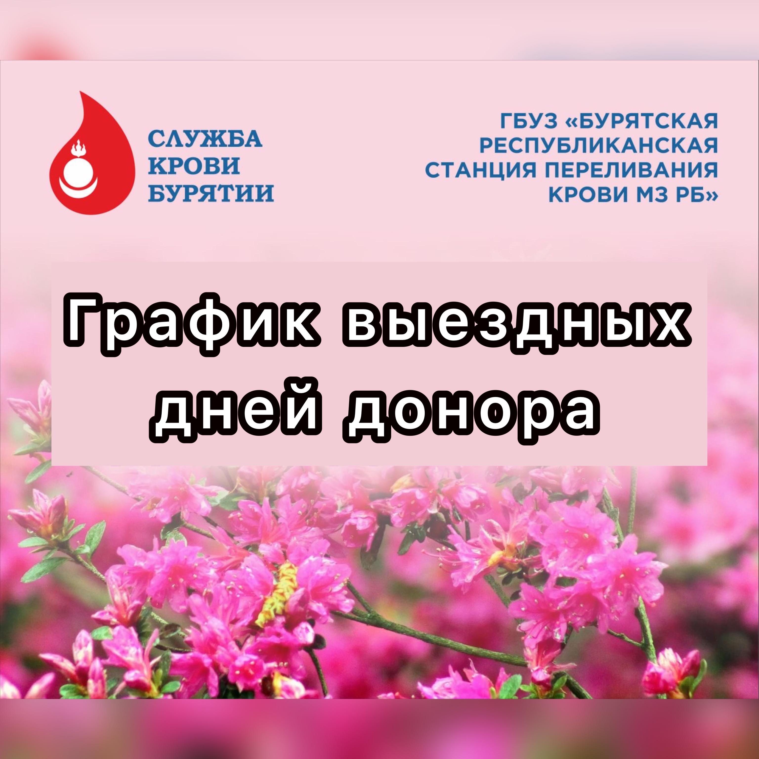 ГРАФИК ВЫЕЗДНЫХ ДНЕЙ ДОНОРА НА АПРЕЛЬ 2022г