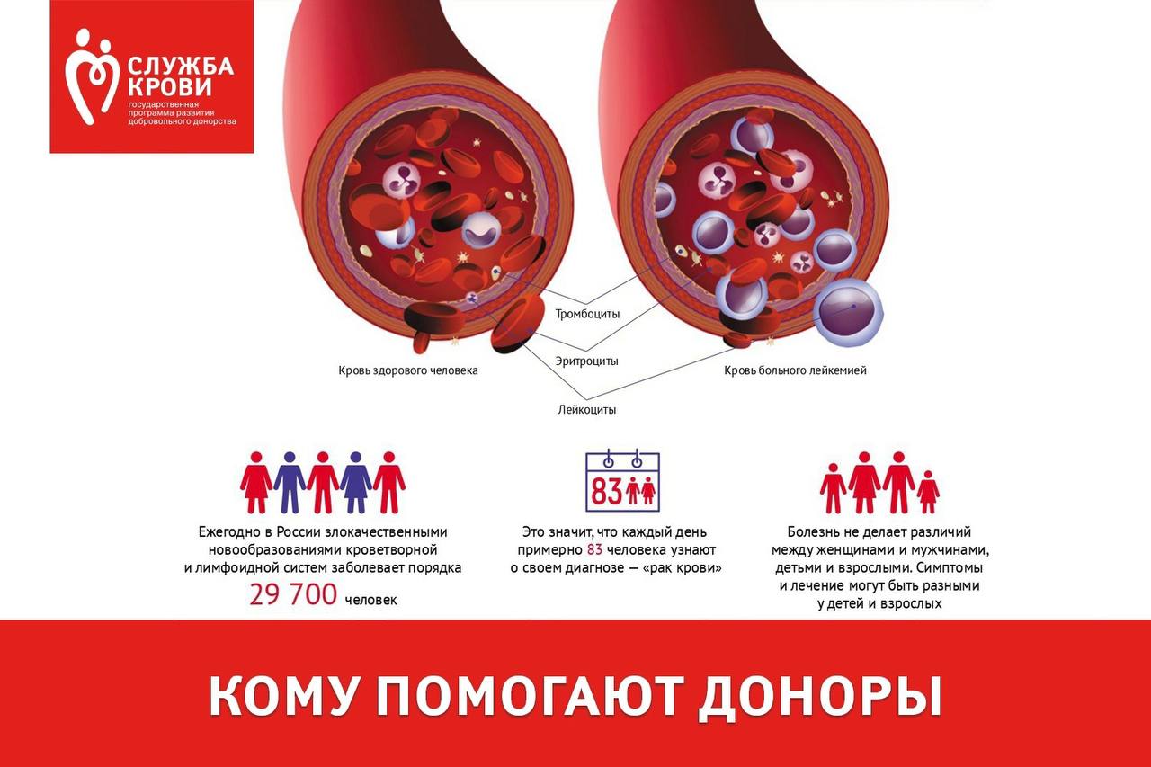 Кому помогают доноры?
